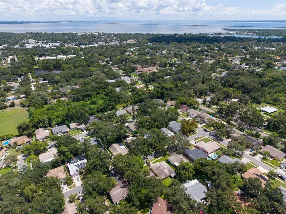 9 HARBOR COVE STREET W Safety Harbor, FL 34695