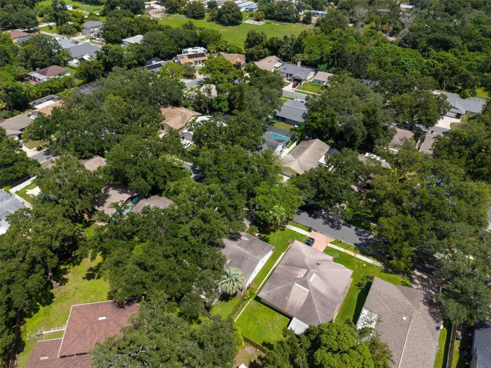 9 HARBOR COVE STREET W Safety Harbor, FL 34695