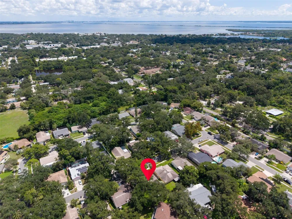 9 HARBOR COVE STREET W Safety Harbor, FL 34695