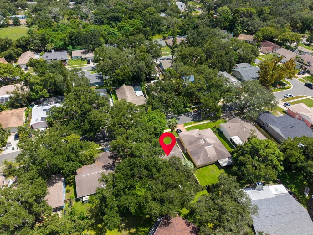 9 HARBOR COVE STREET W Safety Harbor, FL 34695