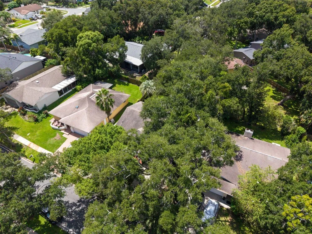 9 HARBOR COVE STREET W Safety Harbor, FL 34695