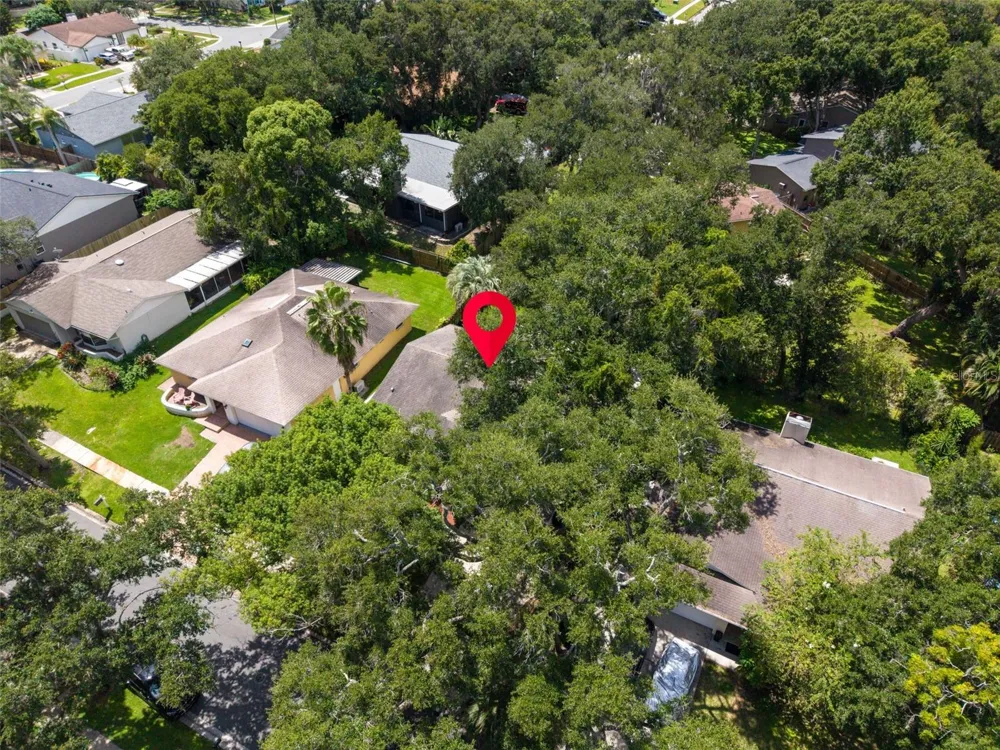 9 HARBOR COVE STREET W Safety Harbor, FL 34695