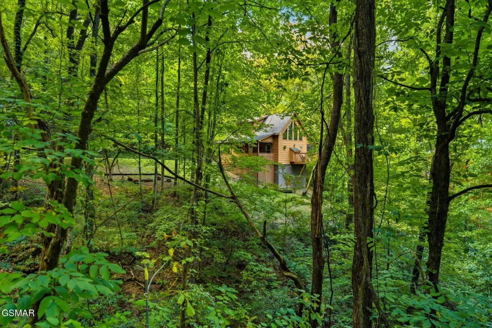 3163 Sourwood Way Sevierville, TN 37862