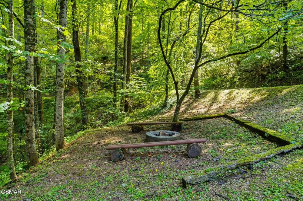 3163 Sourwood Way Sevierville, TN 37862