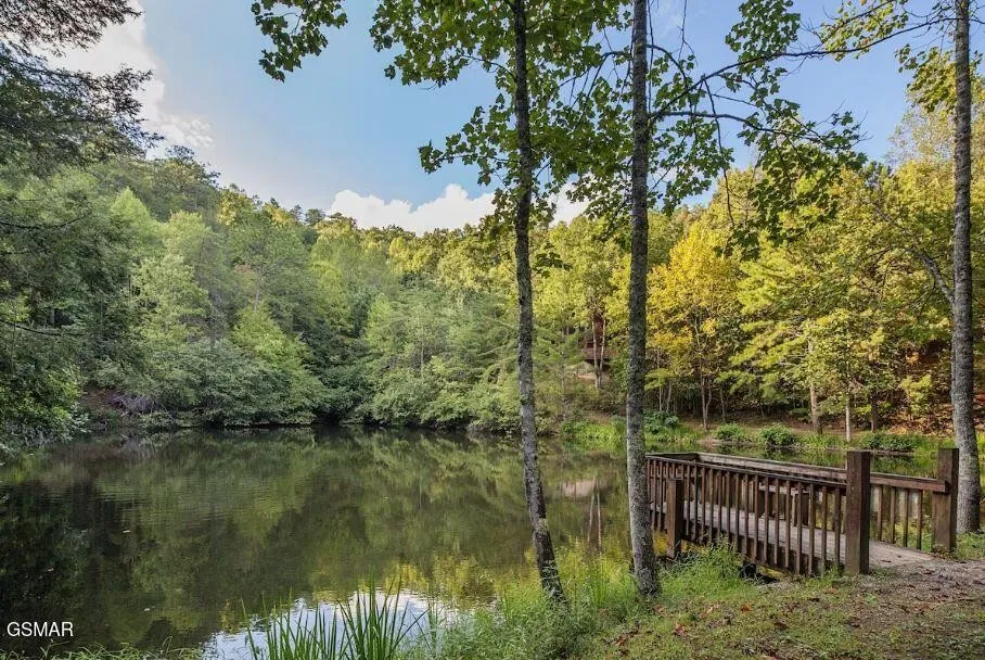 3163 Sourwood Way Sevierville, TN 37862