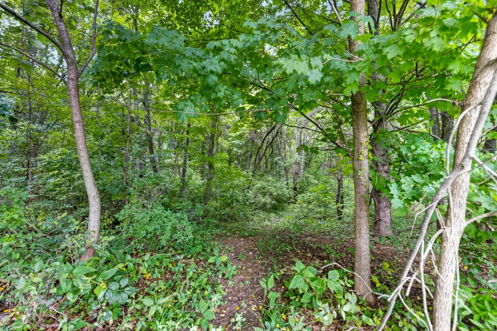 5891 Wood School Road Irving Township, MI 49325