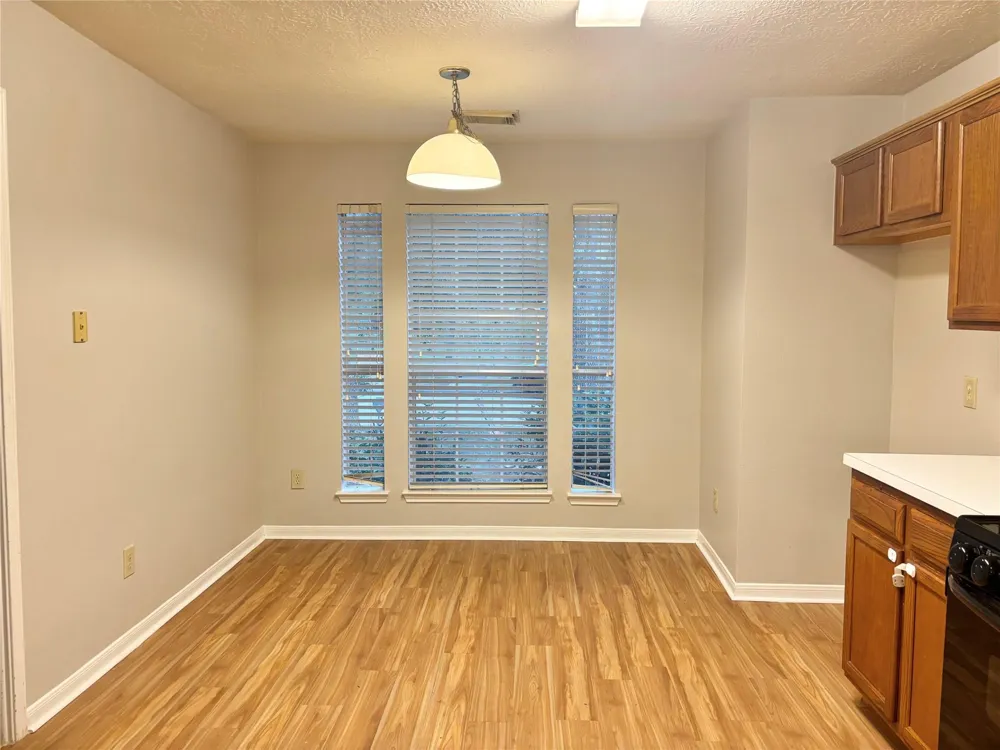 15919 Blue Mesa Ridge Drive Friendswood, TX 77546