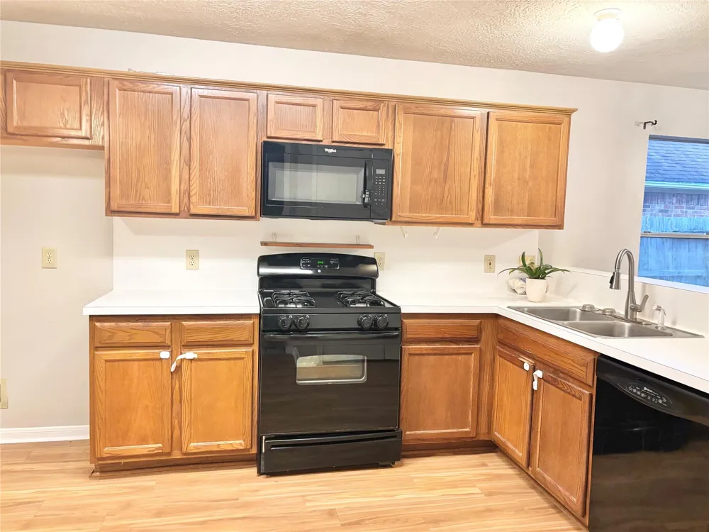 15919 Blue Mesa Ridge Drive Friendswood, TX 77546