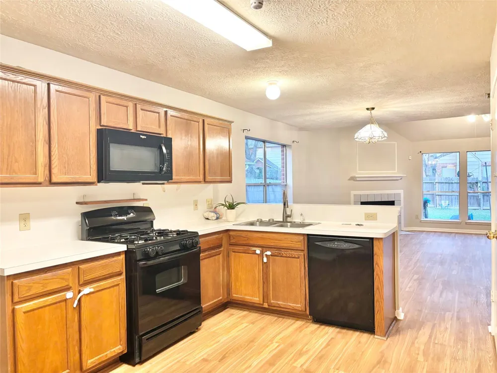 15919 Blue Mesa Ridge Drive Friendswood, TX 77546