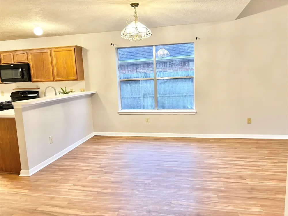 15919 Blue Mesa Ridge Drive Friendswood, TX 77546