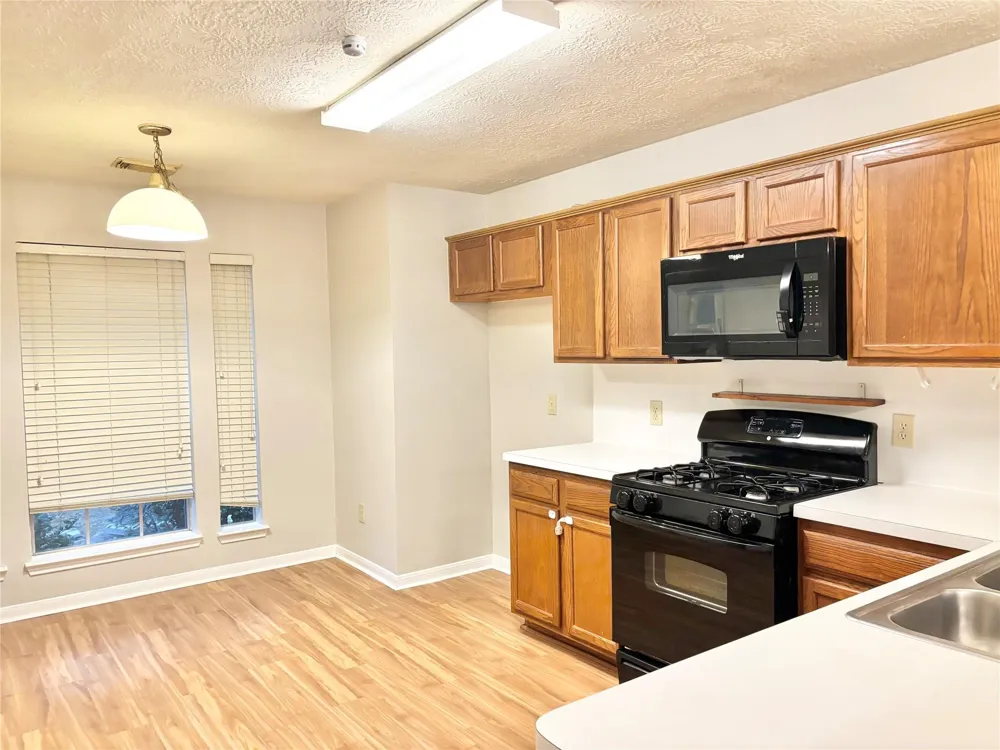 15919 Blue Mesa Ridge Drive Friendswood, TX 77546