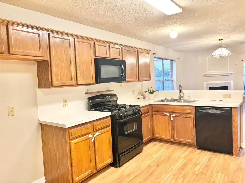 15919 Blue Mesa Ridge Drive Friendswood, TX 77546