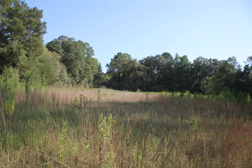 Whippoorwill Road Garvin, OK 74736