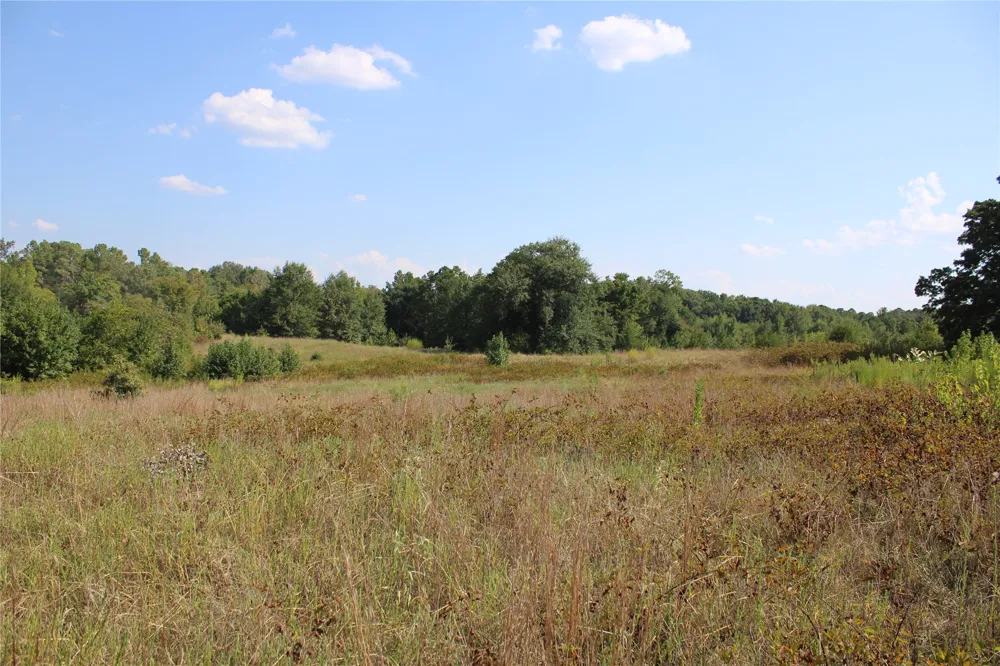 Whippoorwill Road Garvin, OK 74736