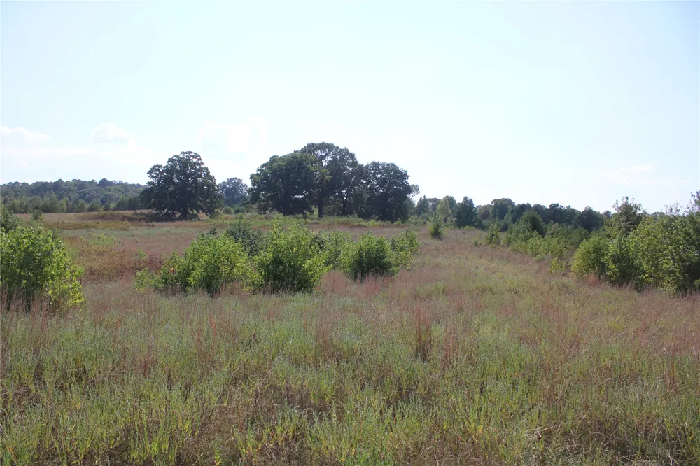 Whippoorwill Road Garvin, OK 74736