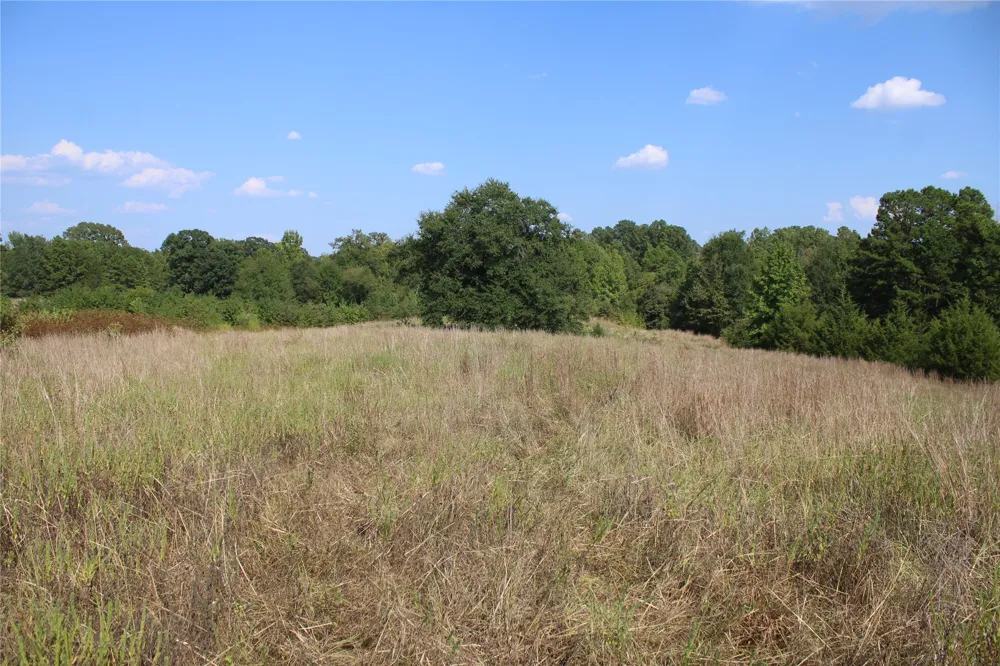 Whippoorwill Road Garvin, OK 74736