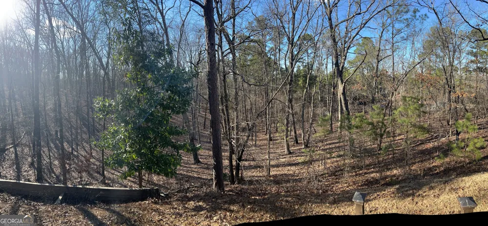 731 Jenni LN Manchester, GA 31816