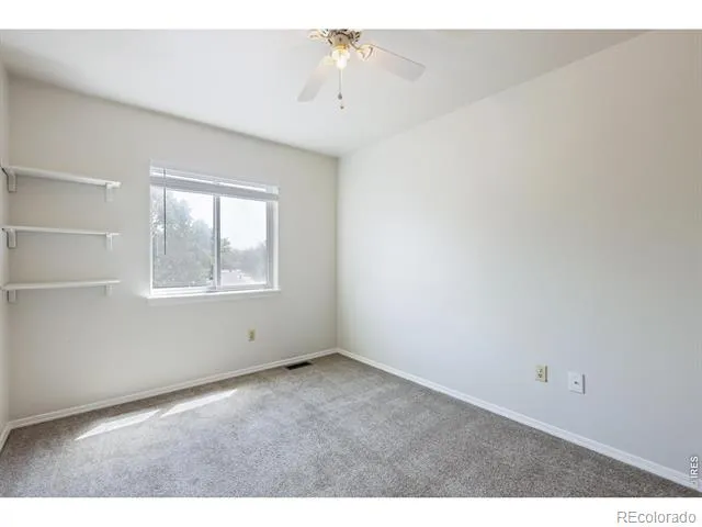 742 Lilac Drive Windsor, CO 80550