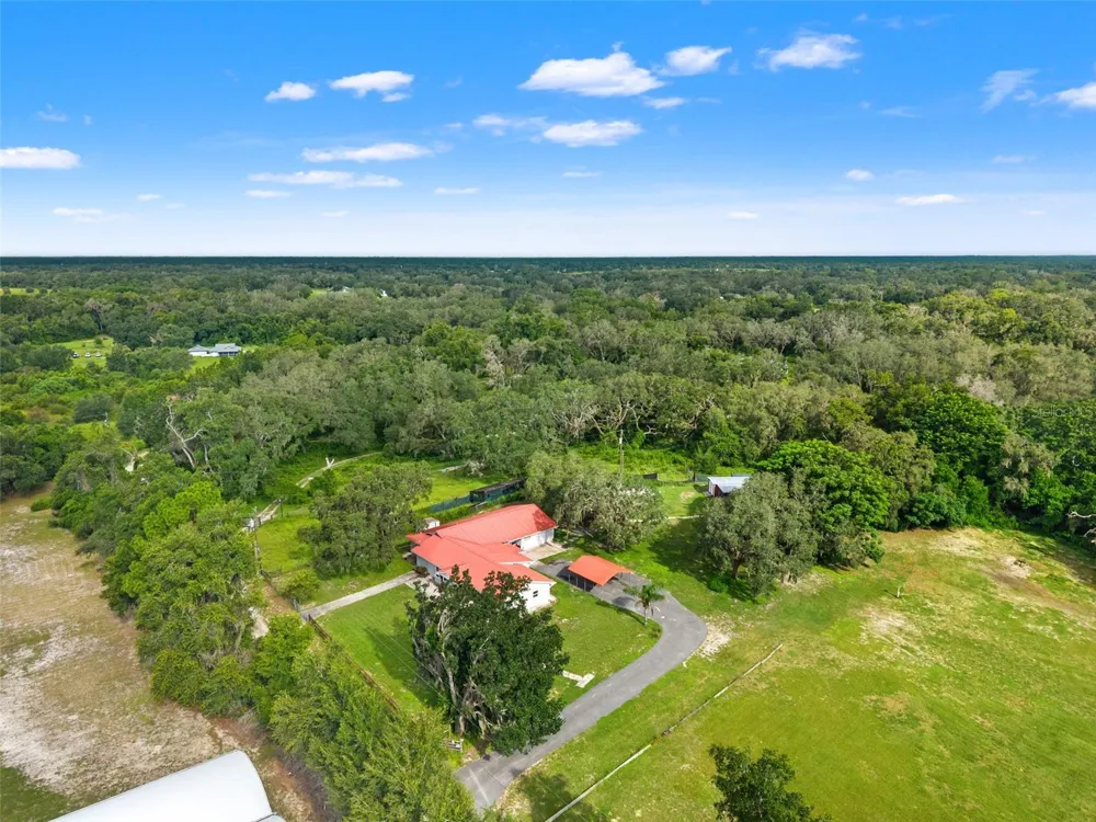 20319 PAINTER PLACE Spring Hill, FL 34610