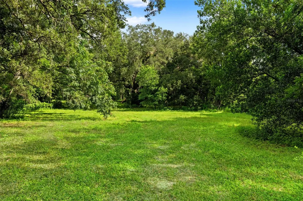 20319 PAINTER PLACE Spring Hill, FL 34610