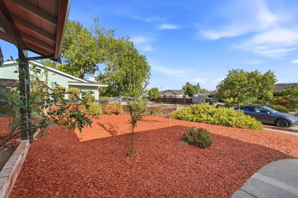 1659 Silacci Drive Campbell, CA 95008