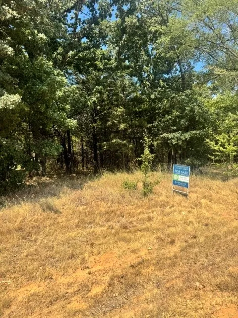 Pine Hills Lane Gordonville, TX 76245