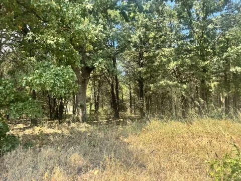 Pine Hills Lane