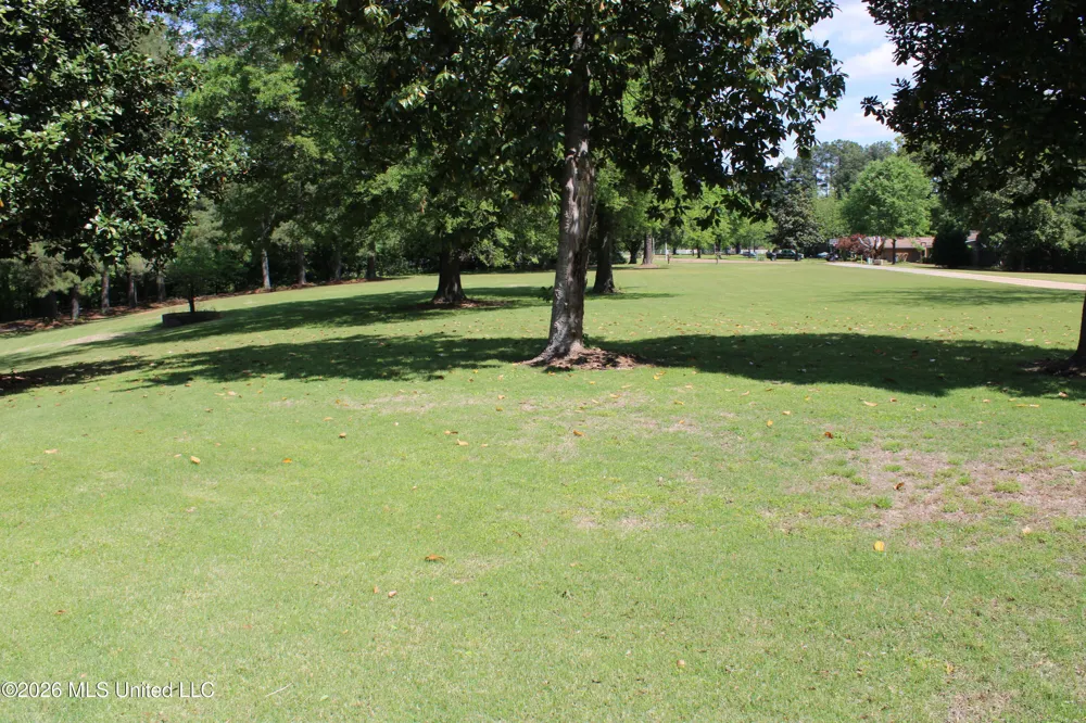 220 Flushing Cove Hernando, MS 38632
