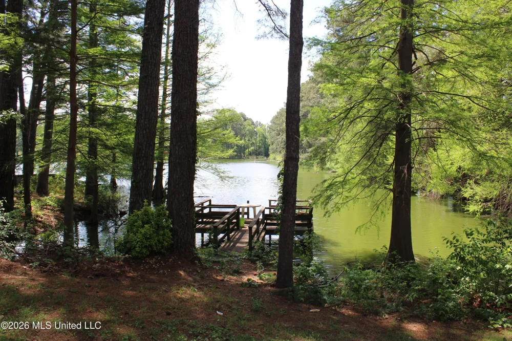 220 Flushing Cove Hernando, MS 38632