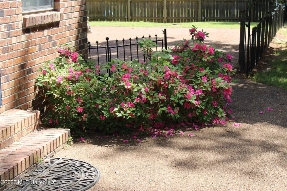 220 Flushing Cove Hernando, MS 38632