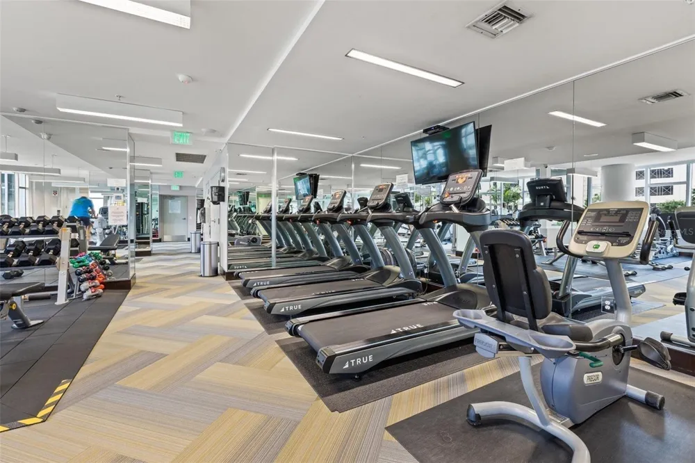 175 1ST STREET SOUTH STREET #1106 St Petersburg, FL 33701