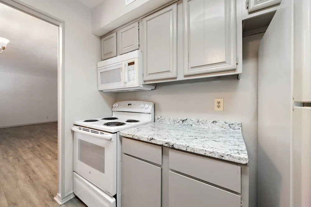 1108 Elm Street #3 Denton, TX 76201