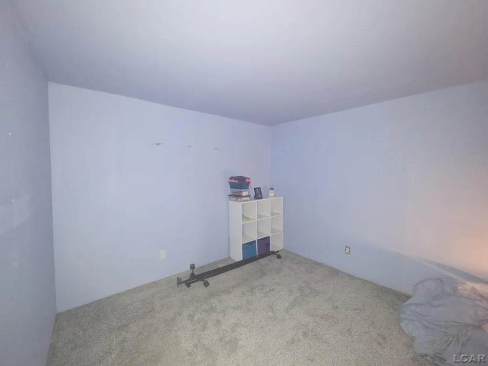 133 WISNER STREET Jackson City, MI 49202