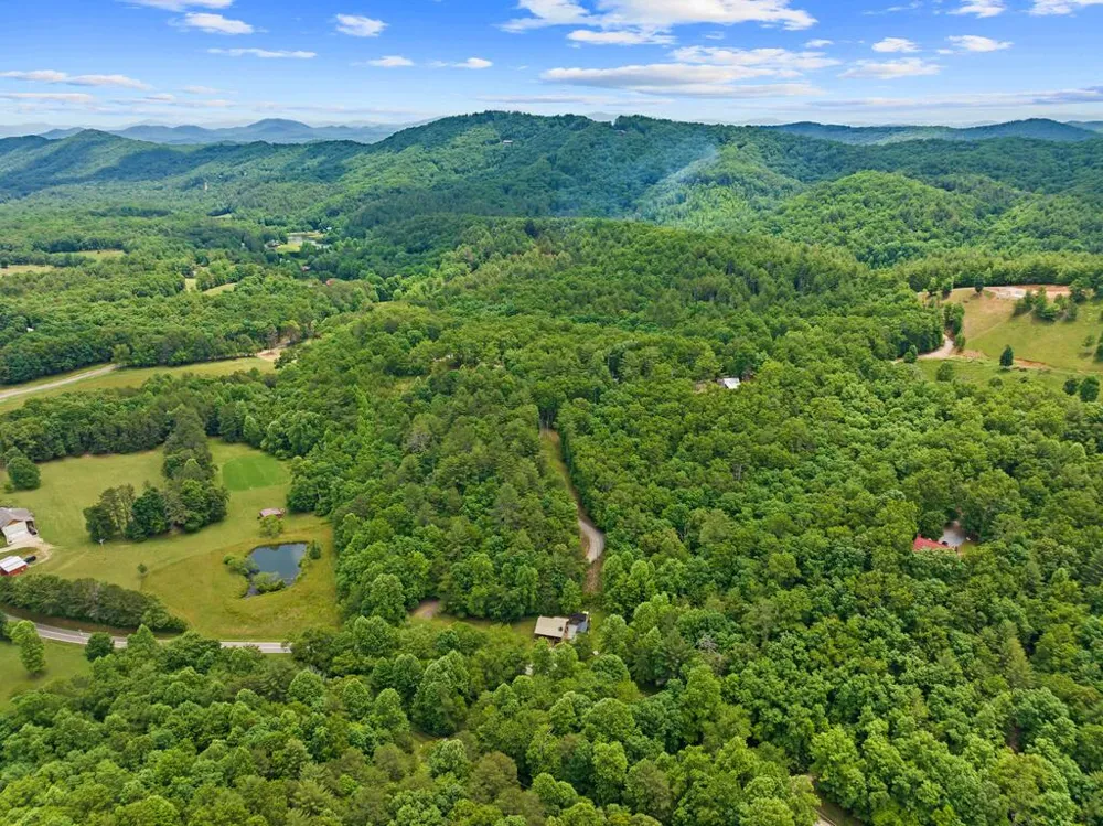 177 - A Shangri La Drive Mineral Bluff, GA 30559