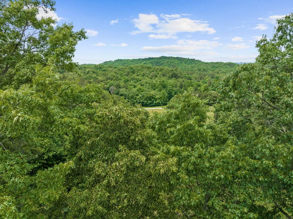 177 - A Shangri La Drive Mineral Bluff, GA 30559