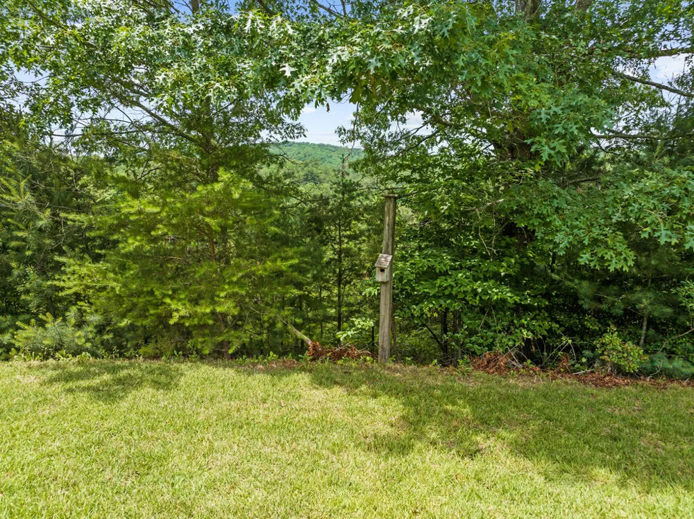 177 - A Shangri La Drive Mineral Bluff, GA 30559