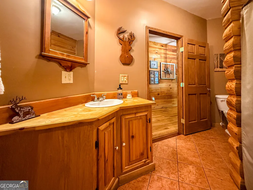 187 Still Water WAY Demorest, GA 30535