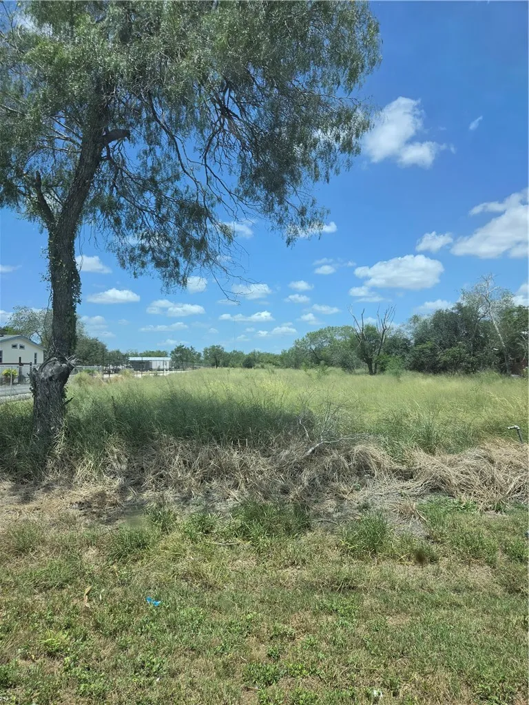 369 Edith Drive Alice, TX 78332