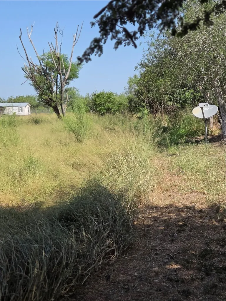369 Edith Drive Alice, TX 78332