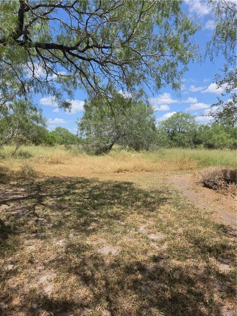 369 Edith Drive Alice, TX 78332