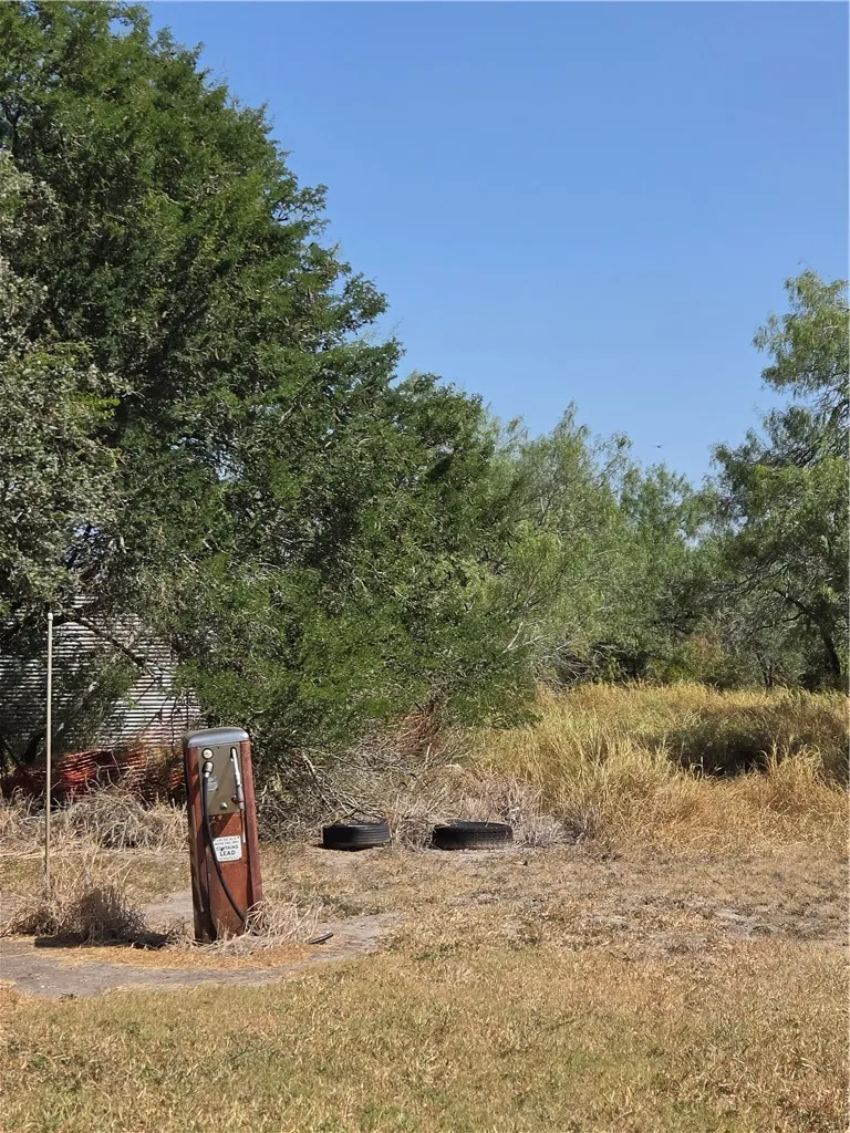 369 Edith Drive Alice, TX 78332