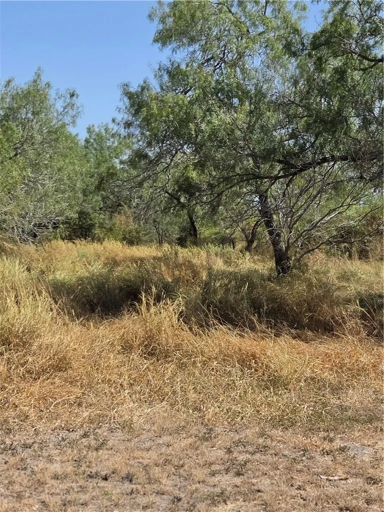 369 Edith Drive Alice, TX 78332
