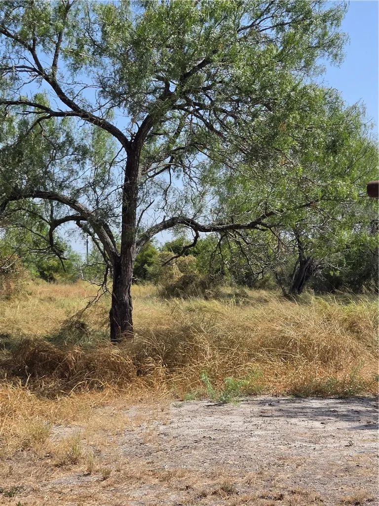 369 Edith Drive Alice, TX 78332