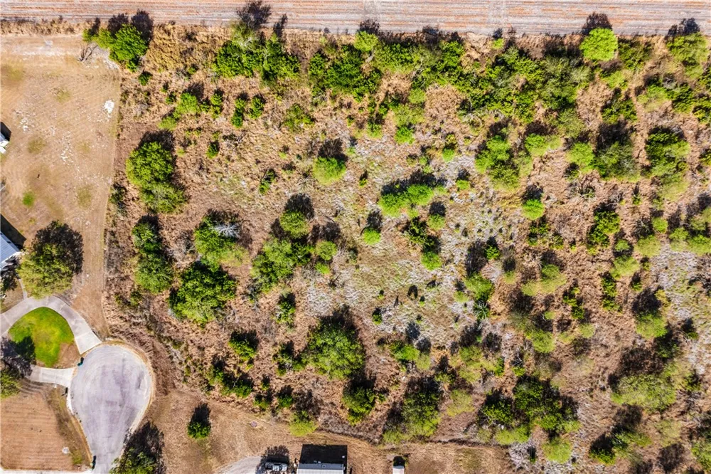 County Road 312 Orange Grove, TX 78372