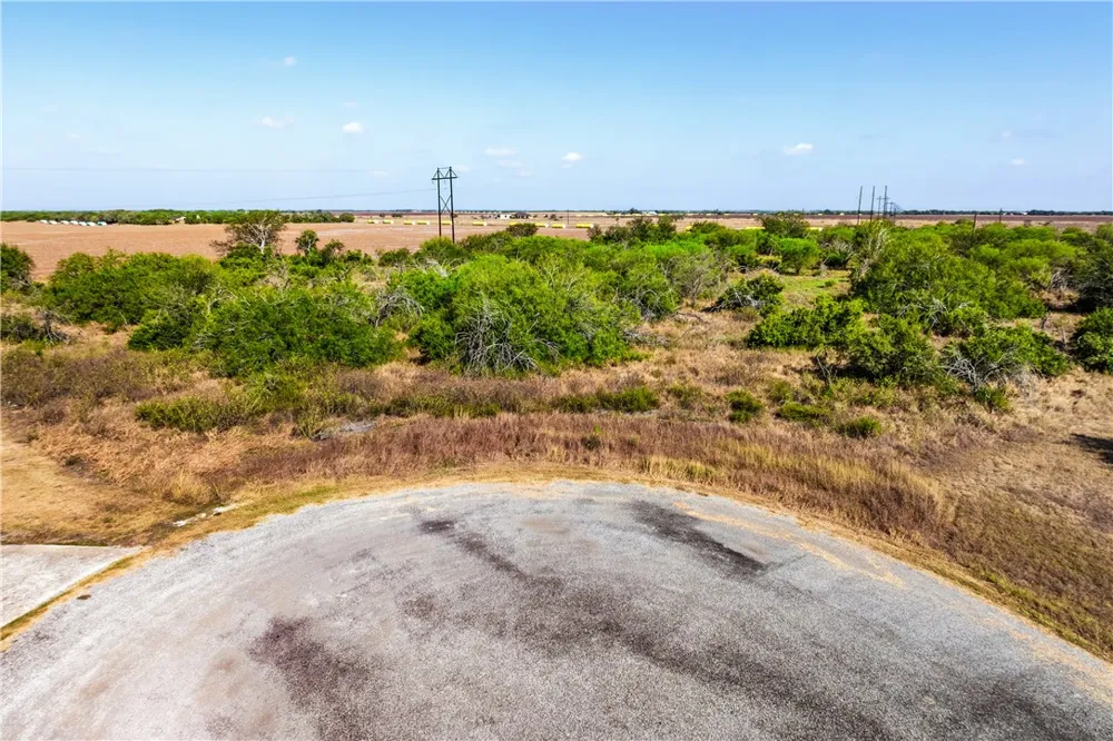 County Road 312 Orange Grove, TX 78372