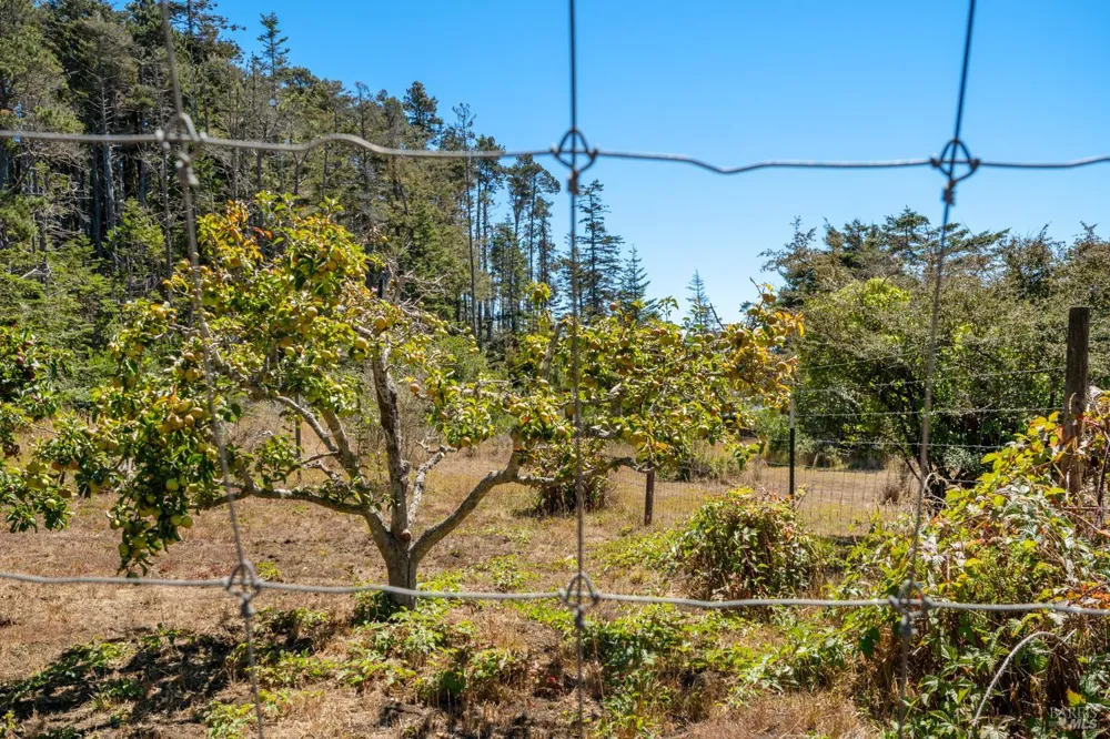 34501 S. Highway 1 Gualala, CA 95445