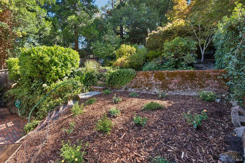 25 Allyn Avenue San Anselmo, CA 94960