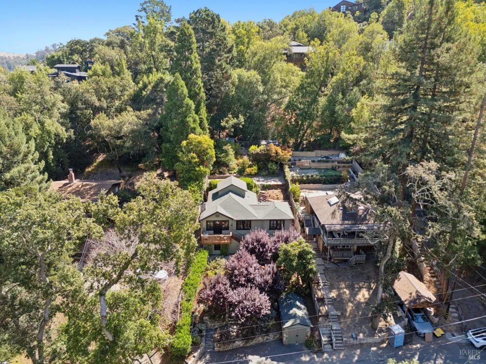 25 Allyn Avenue San Anselmo, CA 94960