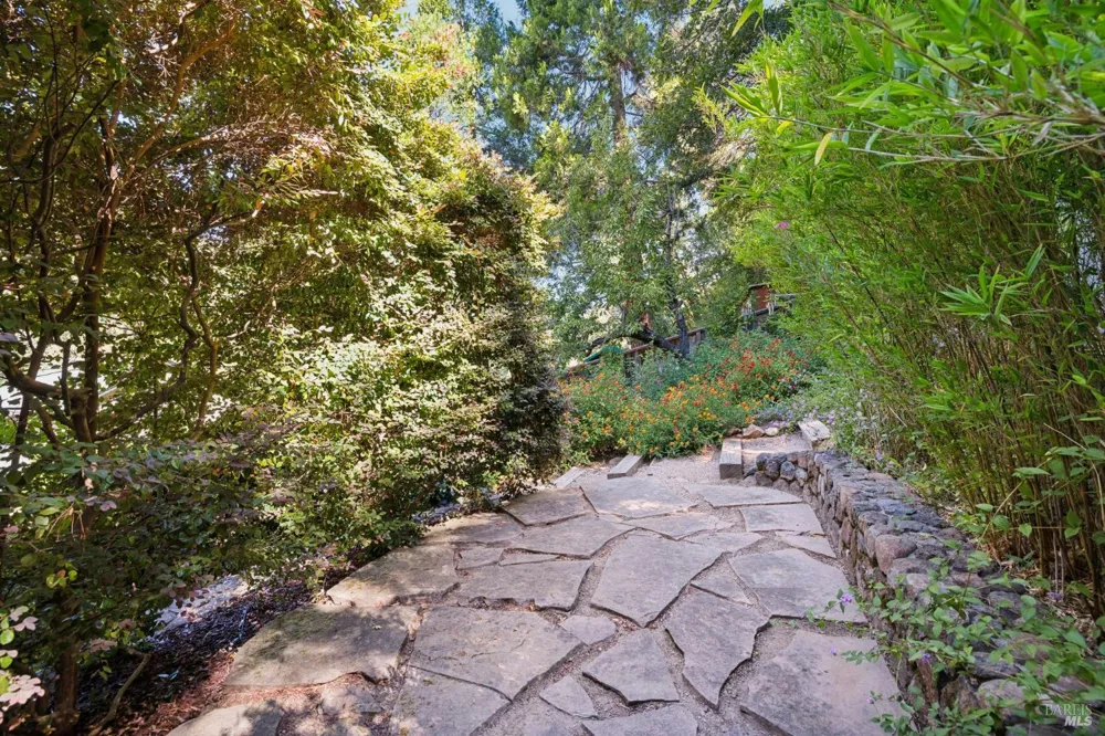 25 Allyn Avenue San Anselmo, CA 94960