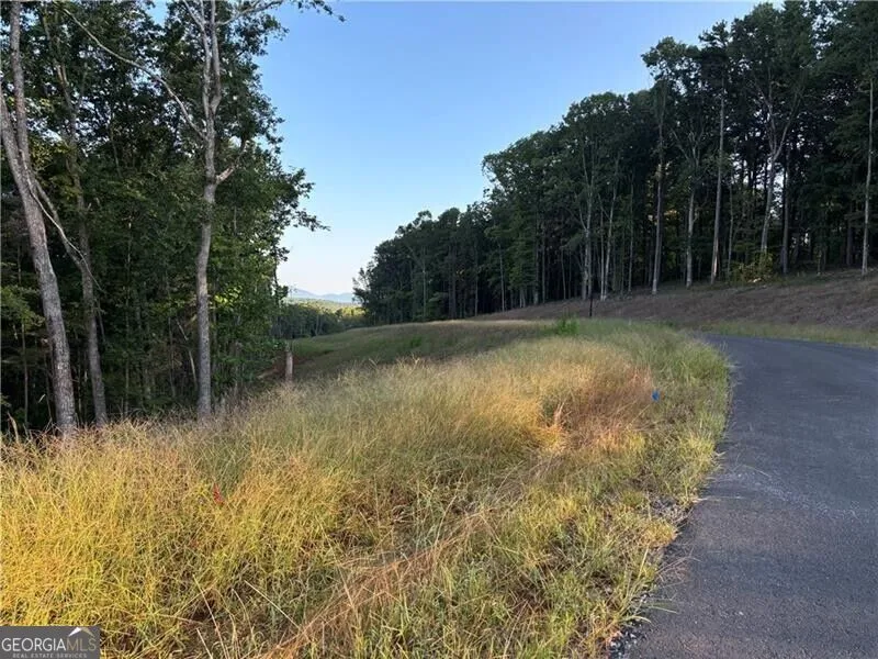 LOT 18 Norton Lane Dahlonega, GA 30533